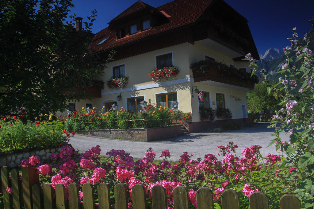 Pension Pichler Hinterstoder Extérieur photo